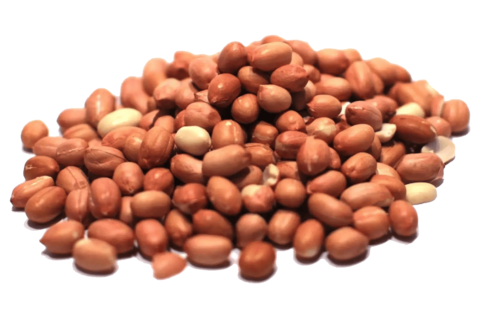 ingredient
